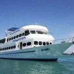 MV Pawara - Similan Islands Liveaboard